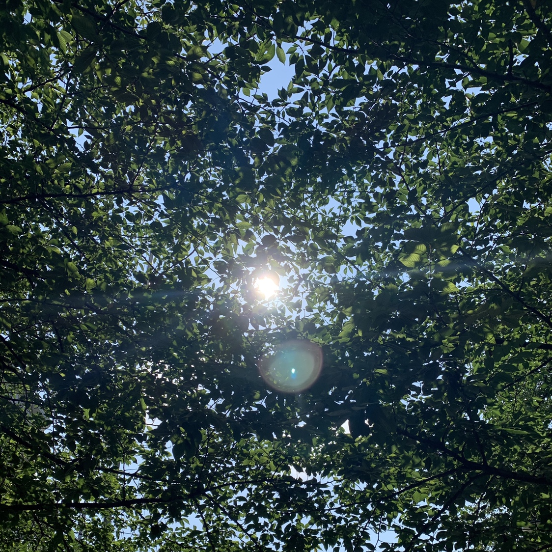 今年の夏は「特別な夏」