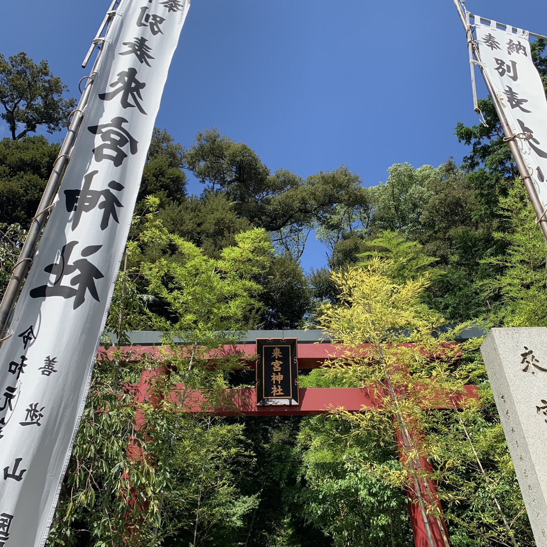 熱海にある来宮神社